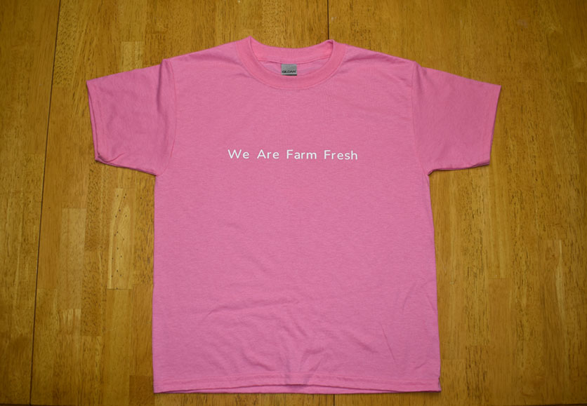 crystal valley tshirt pink front