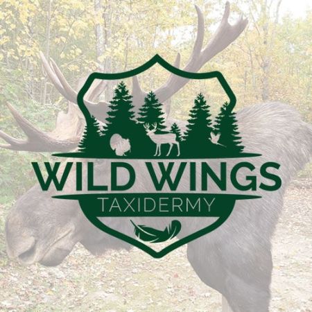 wild-wings-taxidermy-min.jpg